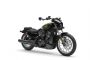 COULEUR : Olive Steel Metallic (+ 500 €)